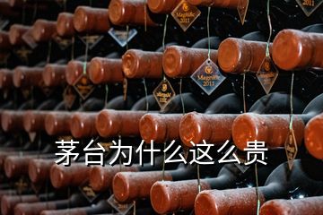 茅臺為什么這么貴