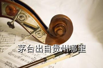 茅臺(tái)出自貴州哪里