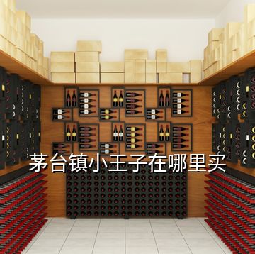 茅臺(tái)鎮(zhèn)小王子在哪里買(mǎi)