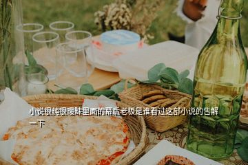 小說(shuō)很純很曖昧里面的幕后老板是誰(shuí)看過(guò)這部小說(shuō)的告解一下