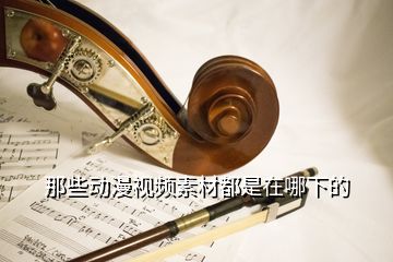 那些動漫視頻素材都是在哪下的