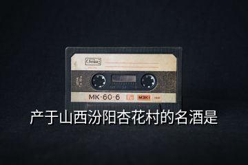 產(chǎn)于山西汾陽(yáng)杏花村的名酒是
