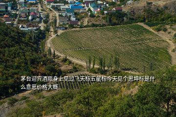 茅臺迎賓酒瓶身上見過飛天標五星標今天見個思坤標是什么意思價格大概