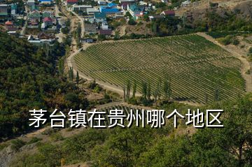 茅臺鎮(zhèn)在貴州哪個(gè)地區(qū)
