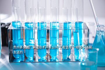 貴州茅臺酒廠集團技術(shù)開發(fā)公司 王者至尊 一瓶多少錢朋友送的