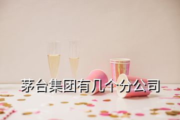 茅臺(tái)集團(tuán)有幾個(gè)分公司