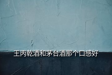 王丙乾酒和茅臺(tái)酒那個(gè)口感好