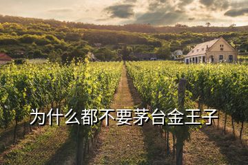 為什么都不要茅臺(tái)金王子