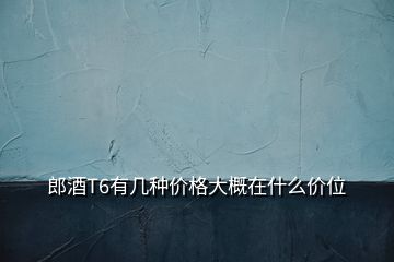 郎酒T6有幾種價(jià)格大概在什么價(jià)位