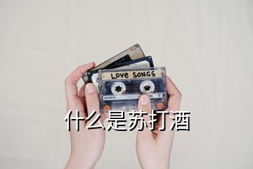 什么是蘇打酒
