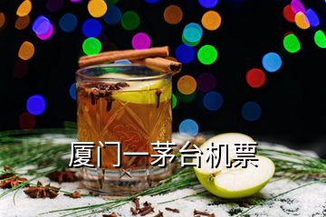 廈門一茅臺機票