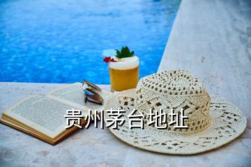 貴州茅臺(tái)地址