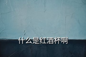 什么是紅酒杯啊
