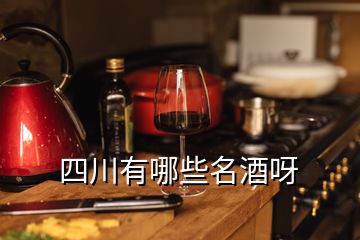 四川有哪些名酒呀
