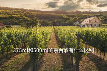 375ml和500ml的茅臺酒有什么區(qū)別