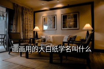 畫(huà)畫(huà)用的大白紙學(xué)名叫什么