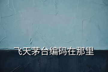飛天茅臺(tái)編碼在那里