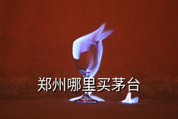 鄭州哪里買茅臺(tái)