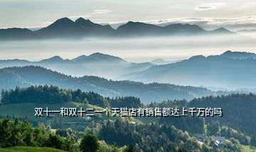 雙十一和雙十二一個天貓店有銷售額達上千萬的嗎