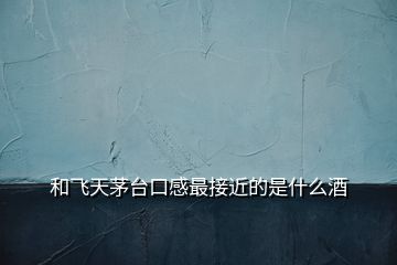 和飛天茅臺(tái)口感最接近的是什么酒