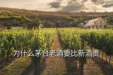 為什么茅臺老酒要比新酒貴