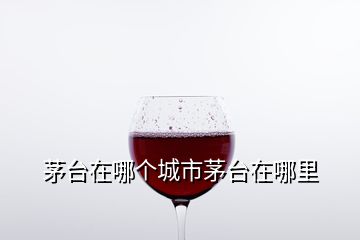 茅臺在哪個城市茅臺在哪里