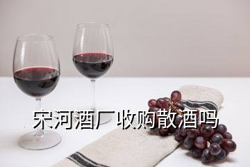 宋河酒廠收購散酒嗎