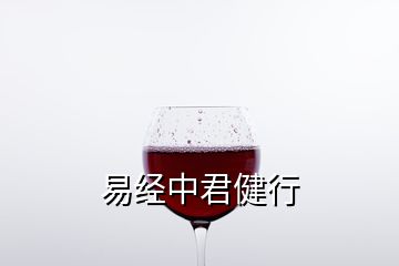 易經中君健行