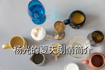 楊光的夏天劇情簡(jiǎn)介