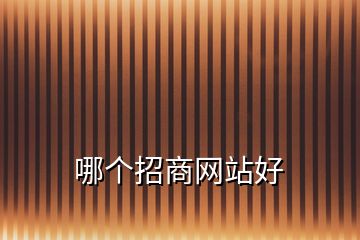 哪個(gè)招商網(wǎng)站好