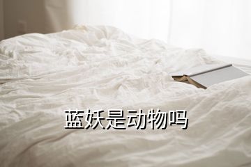 藍(lán)妖是動(dòng)物嗎