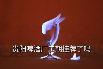 貴陽啤酒廠二期掛牌了嗎