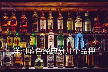 洋河藍色經典分幾個品種