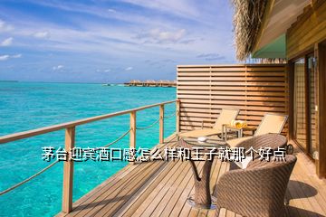 茅臺迎賓酒口感怎么樣和王子就那個好點(diǎn)