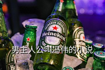 男主人公叫馮偉的小說(shuō)