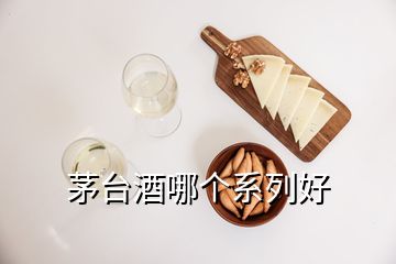 茅臺(tái)酒哪個(gè)系列好