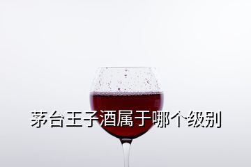 茅臺(tái)王子酒屬于哪個(gè)級(jí)別