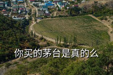 你買的茅臺(tái)是真的么