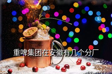 重啤集團(tuán)在安徽有幾個(gè)分廠