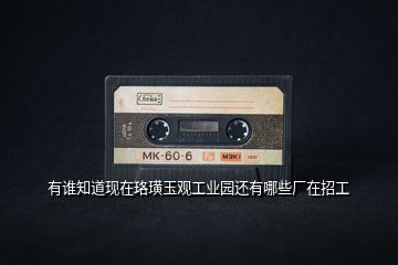 有誰(shuí)知道現(xiàn)在珞璜玉觀(guān)工業(yè)園還有哪些廠(chǎng)在招工