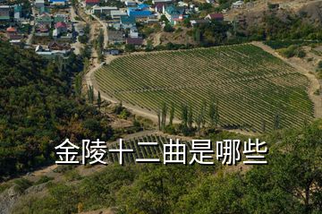 金陵十二曲是哪些