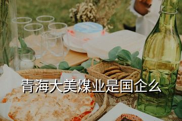 青海大美煤業(yè)是國(guó)企么
