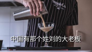 中國(guó)有那個(gè)姓劉的大老板