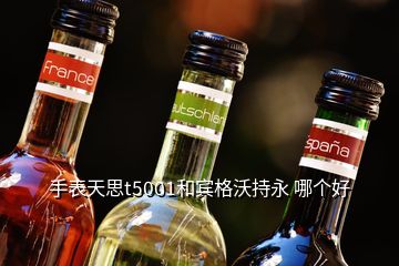 手表天思t5001和賓格沃持永 哪個好