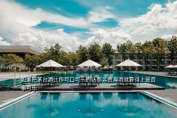 如果把茅臺酒比作可口可樂的話那么貴海酒就算得上是百事可樂
