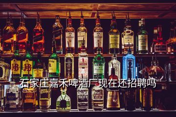 石家莊嘉禾啤酒廠現在還招聘嗎