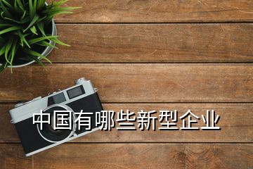 中國(guó)有哪些新型企業(yè)