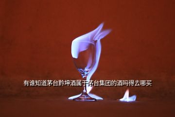有誰(shuí)知道茅臺(tái)黔坤酒屬于茅臺(tái)集團(tuán)的酒嗎得去哪買