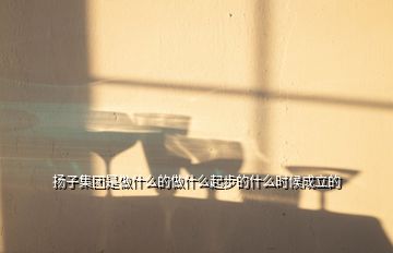 揚(yáng)子集團(tuán)是做什么的做什么起步的什么時(shí)候成立的