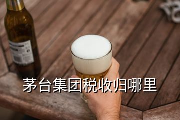 茅臺(tái)集團(tuán)稅收歸哪里